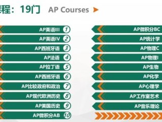 梅西大学专业排名解析，全球视野下的学科优势与选择指南