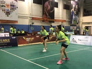 羽坛巅峰的荣耀之路，全国羽毛球锦标赛历届冠军巡礼