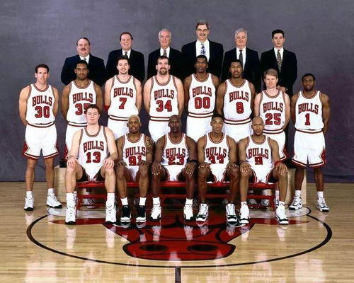1993年NBA总决赛，六场鏖战铸就公牛王朝