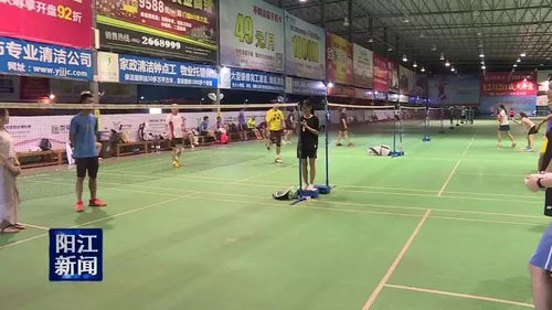羽坛巅峰的荣耀之路，全国羽毛球锦标赛历届冠军巡礼