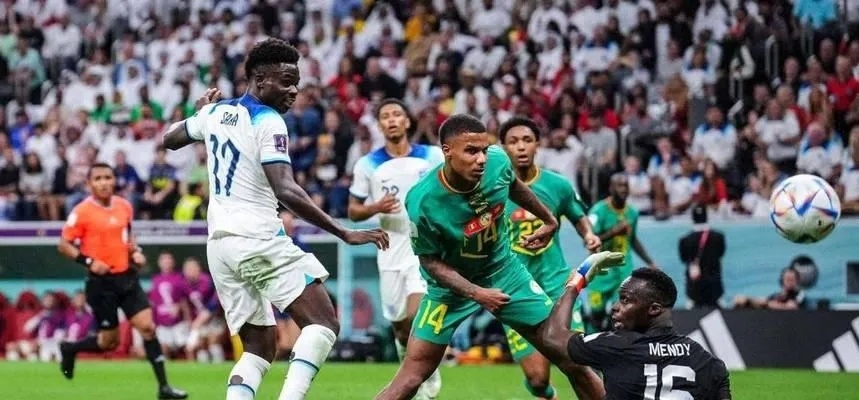 世界杯进球榜，绿茵场上的不朽传奇与荣耀之巅
