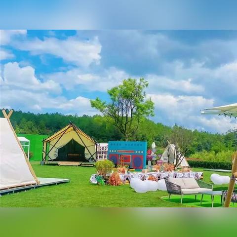 优酷直播世界杯，指尖上的绿茵盛宴