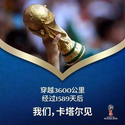 世界杯金球奖是怎么评的，从最佳球员到争议焦点的评选全解析