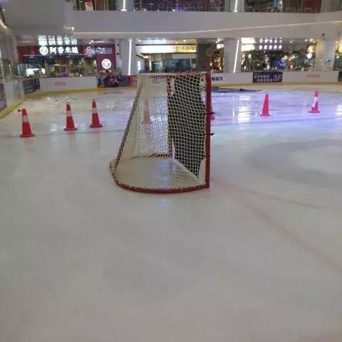 冰面之上，一位冰球世界冠军的荣耀与孤独