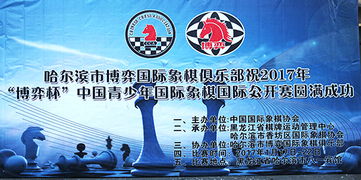 比赛的两大支柱，淘汰赛与循环赛的博弈与魅力