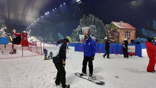 冬奥比赛项目有哪些,从冰雪竞技到极限挑战 冬奥比赛项目有哪些,从冰雪竞技到极限挑战